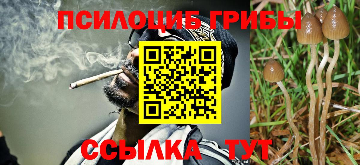 Псилоцибиновые грибы прущие грибы Ставрополь
